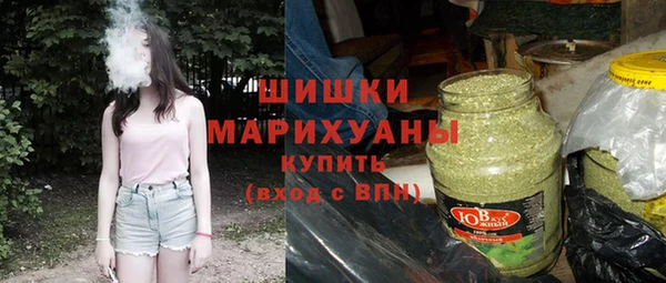 индика Балабаново
