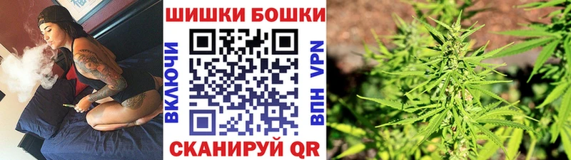 Бошки Шишки гибрид  Кущёвская 